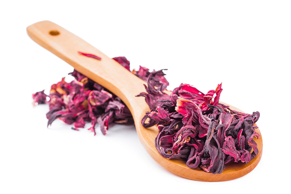 Hibiscus Rosa Sinensis vs Hibiscus Sabdariffa What Makes Them Different Anyway - Elim Naturals
